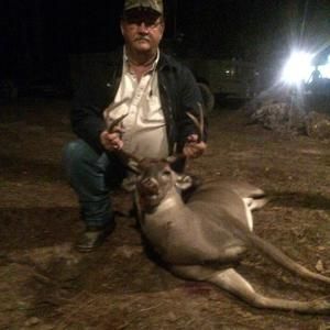 Meet your Posher, Ronnie